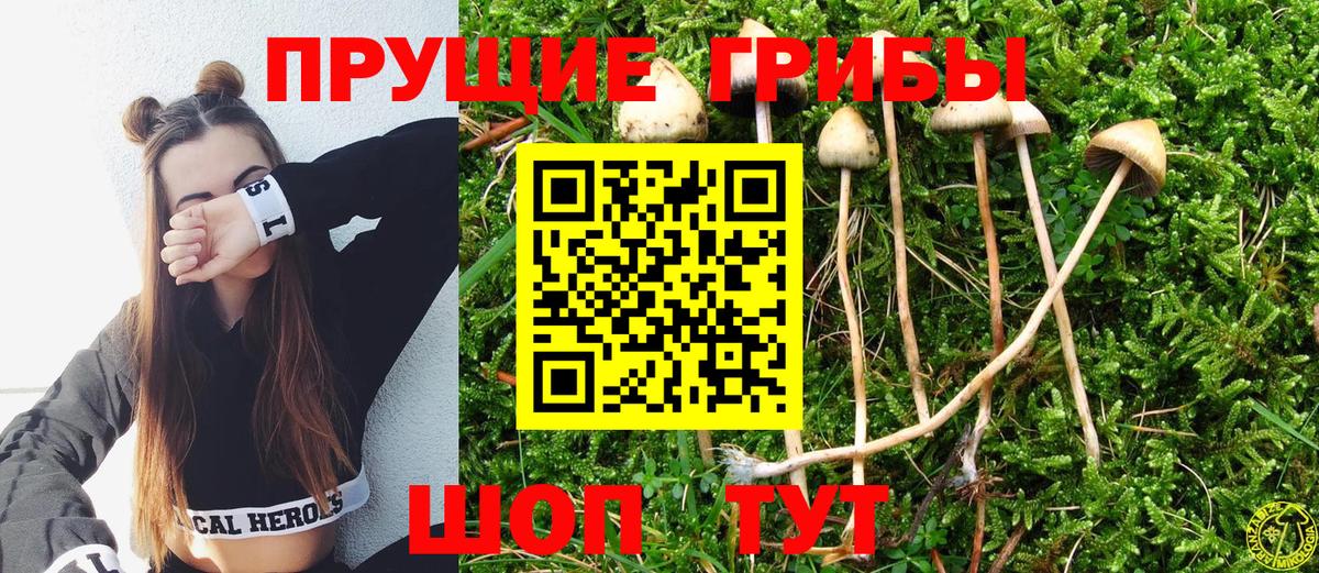 Владикавказ  Псилоцибиновые грибы Cubensis  Псилоцибиновые грибы прущие грибы  Вход с VPN 