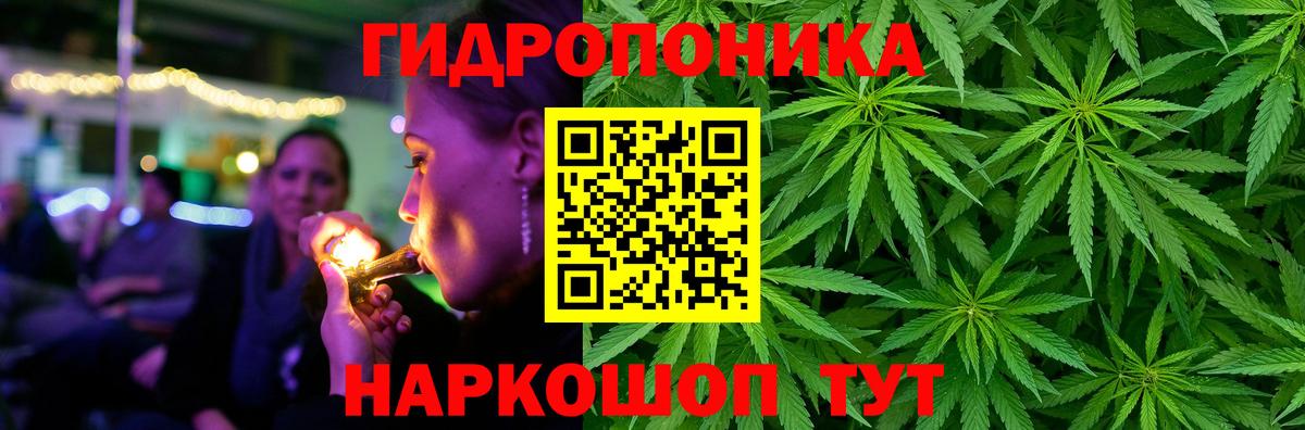Владикавказ  Каннабис план  Бошки марихуана SATIVA & INDICA  Вход с VPN  Канабис индика  Каннабис Ganja 